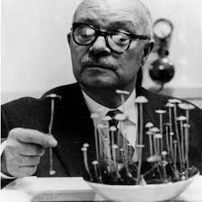 Roger Heim: The Unsung Mycologist Who Unlocked the World of Magic Mushrooms