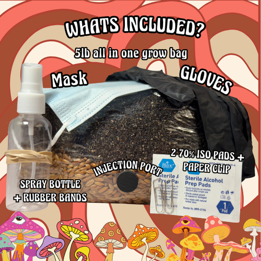 The Complete 5lb All-in-One Mushroom Kit for Beginners