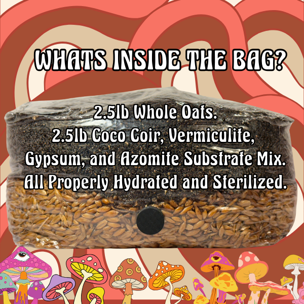 The Complete 5lb All-in-One Mushroom Kit for Beginners