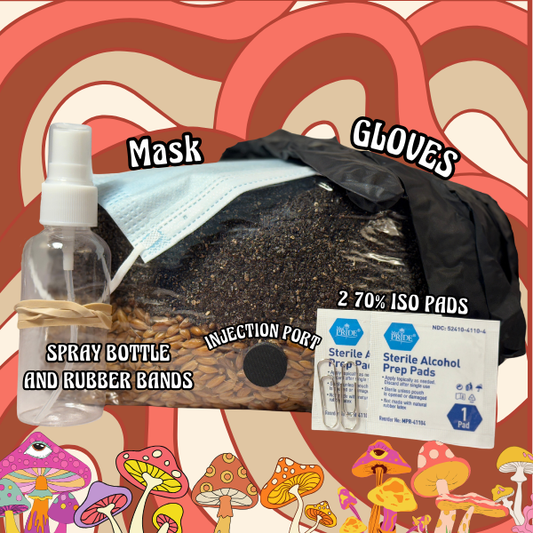 A photo of an all in one grow bag with spray bottle, rubber bands, injection port, gloves, mask, and 70% iso pads