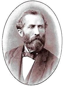 The Fungal Detective: How Heinrich Anton de Bary Rewrote the Rules of Mycology