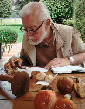 The Mushroom Seeker: How Gastón Guzmán Mapped the World of Sacred Fungi